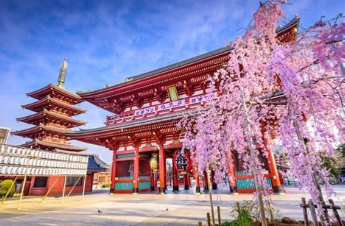 Exploring the Land of the Rising Sun: Unforgettable Japan Tours and Vacation Packages