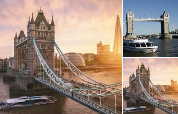 Thames Tours